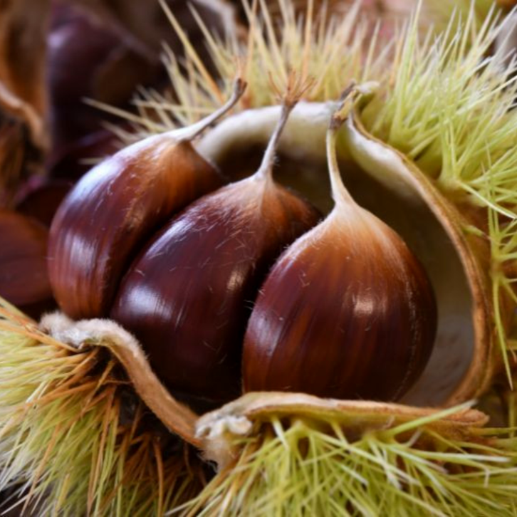 Vitalità maschile e pavimento pelvico